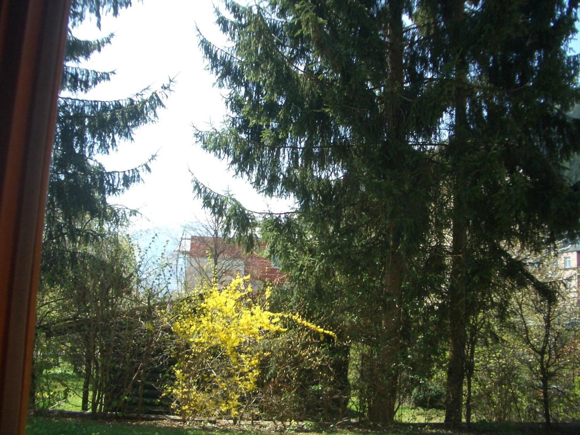 Gartenapartment Zell am See Exterior foto